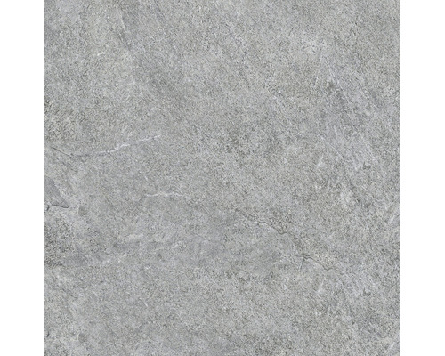 Wand- und Bodenfliese Bet Silver Grey 60x60 rekt