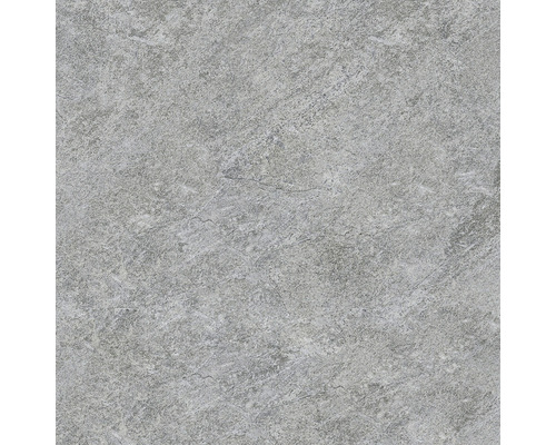 Wand- und Bodenfliese Bet Silver Grey 60x60 rekt