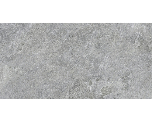 Wand- und Bodenfliese Bet Silver Grey 30x60 cm rektifiziert