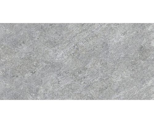 Wand- und Bodenfliese Bet Silver Grey 30x60 cm rektifiziert