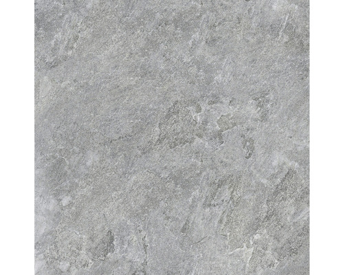 Wand- und Bodenfliese Bet Silver Grey 60x60 rekt