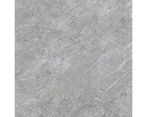 Wand- und Bodenfliese Bet Silver Grey 60x60 rekt