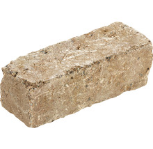 Einzelner Pflasterstein