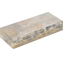 Rechteckiger Pflasterstein