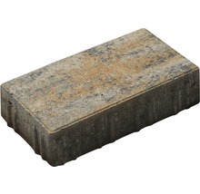 Einzelner Pflasterstein