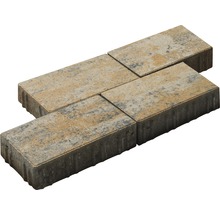 Verbundpflastersteine aus Beton, vier Stück