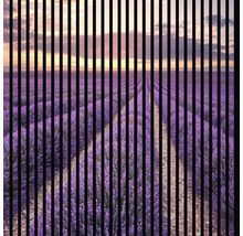 Akustikpaneel digital bedruckt Lavendel 1 19x1133x1195 mm Set = 2 Einzelpaneele