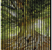 Akustikpaneel digital bedruckt Baum 1 19x1133x1195 mm Set = 2 Einzelpaneele