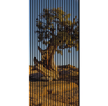 Dekoratives Lamellenbild mit Baum-Motiv für die Wandgestaltung