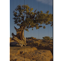 Baum auf Felsen mit vertikalen Streifen