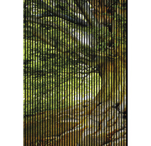 Dekoratives Bild mit Baummotiv hinter schwarzen Linien