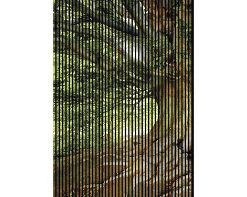 Dekoratives Bild mit Baummotiv hinter schwarzen Linien