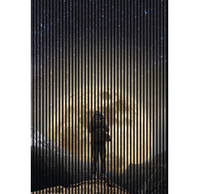 Eine Person steht vor einem großen, hellen Mond am Nachthimmel.