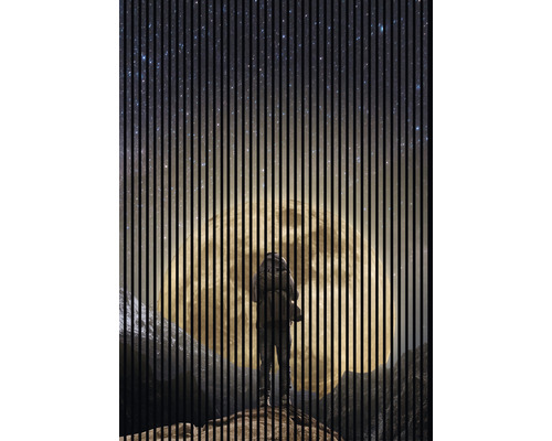 Eine Person steht vor einem großen, hellen Mond am Nachthimmel.