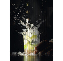 Ein Glas mit Eis und Limettenstücken, umgeben von Wasserspritzern.