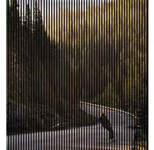 Dekoratives Gitter vor Landschaft mit Straße und Person auf Skateboard