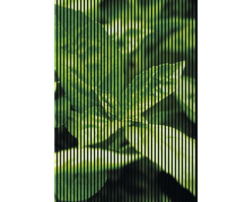 Blattmuster mit Streifen