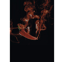 Chili vor dunklem Hintergrund, durchzogen von vertikalen Streifen und Rauch