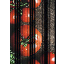 Tomaten auf Holzgrund