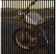 Akustikpaneel digital bedruckt Motorrad 2 19x1133x1195 mm Set = 2 Einzelpaneele