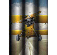 Gelbes Flugzeug mit Propeller und Rädern durch ein Gitter betrachtet