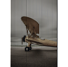 Dekoratives Bild eines Flugzeugs hinter einem Gitter