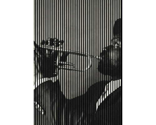 Ein Mann spielt Trompete vor einem gestreiften Hintergrund.