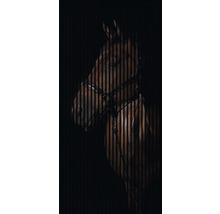 Pferdeporträt hinter Holzlatten