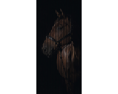 Pferdeporträt hinter Holzlatten