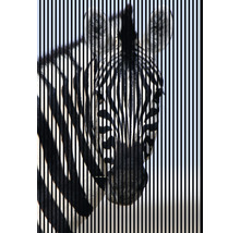 Dekoratives Zebrabild mit vertikalen Linien