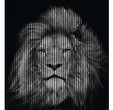 Löwenkopf mit Streifen-Muster