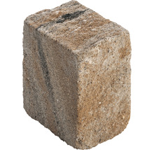 Einzelner Pflasterstein aus Beton