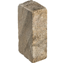 Einzelner Pflasterstein