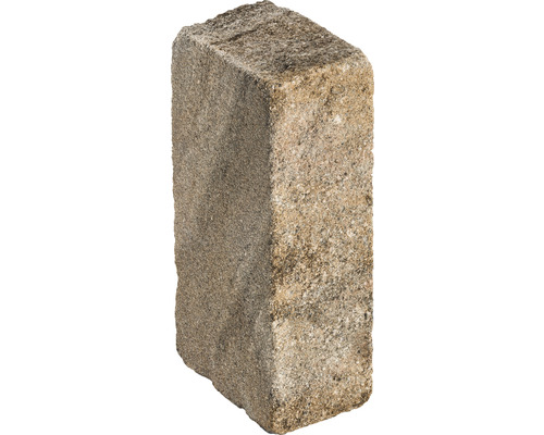 Einzelner Pflasterstein