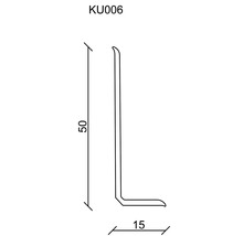 Technische Zeichnung eines L-förmigen Profils mit den Maßen 50 x 15.