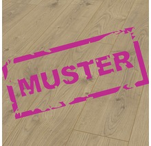 Produktbild: Handmuster SKANDOR Laminat 12.0 Silence Oak