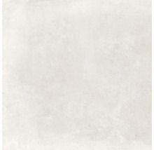 Feinsteinzeug Wand- und Bodenfliese Grennwich Perla 120 x 120 cm matt