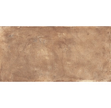 Wand- und Bodenfliese Terrae montefalco 20,3x40,6cm