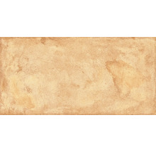 Wand- und Bodenfliese Terrae vignanello 20,3x40,6cm