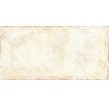 Wand- und Bodenfliese Terrae spello 20,3x40,6cm