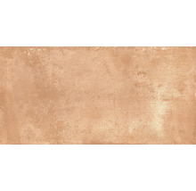 Wand- und Bodenfliese Terrae orvieto 20,3x40,6cm