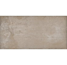 Wand- und Bodenfliese Terrae bagnoregio 20,3x40,6cm,R11C
