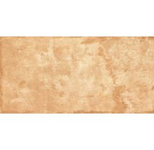 Produktbild: Wand- und Bodenfliese Terrae vignanello 20,3x40,6cm,R11C
