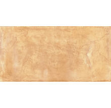 Wand- und Bodenfliese Terrae orvieto 20,3x40,6cm,R11C