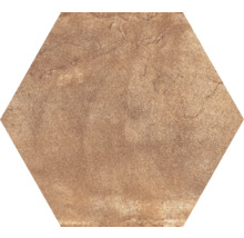 Wand- und Bodenfliese Terrae orvieto esagona 20x17,5cm