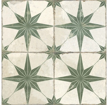 Produktbild: Wand- und Bodenfliese FS Star LT sage 45x45 cm