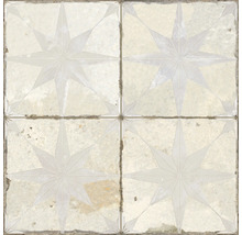 Wand- und Bodenfliese FS Star LT white 45x45 cm