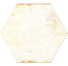 Wand- und Bodenfliese Terrae spello esagona 20x17,5cm