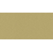 Wandfliese Pamesa Golden Plain oro 60x120cm glänzend rektifiziert