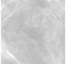 Wand- und Bodenfliese Pulpis grey 60x60 cm rektifiziert poliert